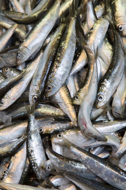 Primo piano del pesce in vendita sulla bancarella del mercato