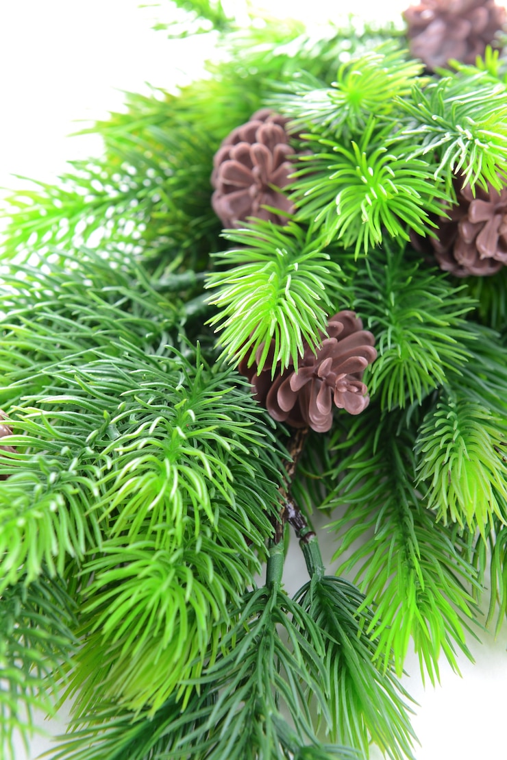 Foto primo piano del ramo dell'albero di natale