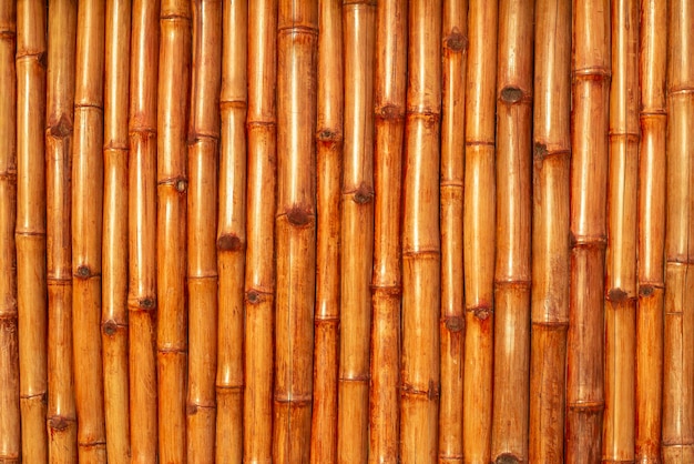 Primo piano del recinto di bambù. Trama di bambù. Foto di alta qualità