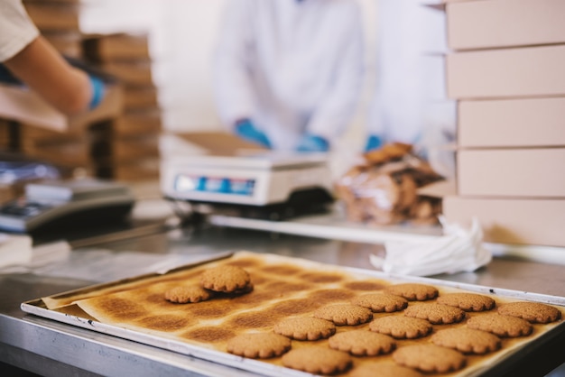 Primo piano del vassoio pieno di biscotti appena sfornati nella fabbrica di alimenti. Immagine sfocata di due impiegati maschi in vestiti sterili che imballano i biscotti nella priorità bassa.