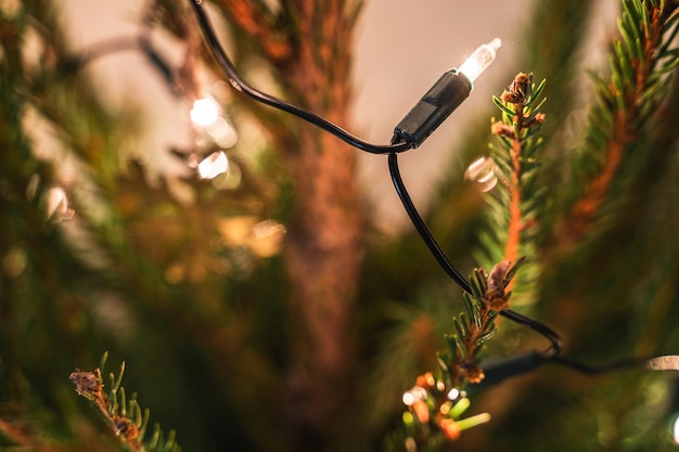 Primo piano dell'albero di Natale con decorazioni e lucine