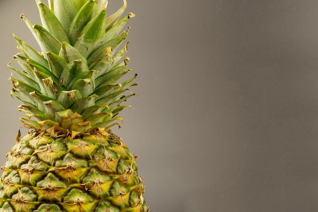 Primo piano dell'ananas, su uno sfondo grigio con spazio di copia. Perenne tropicale