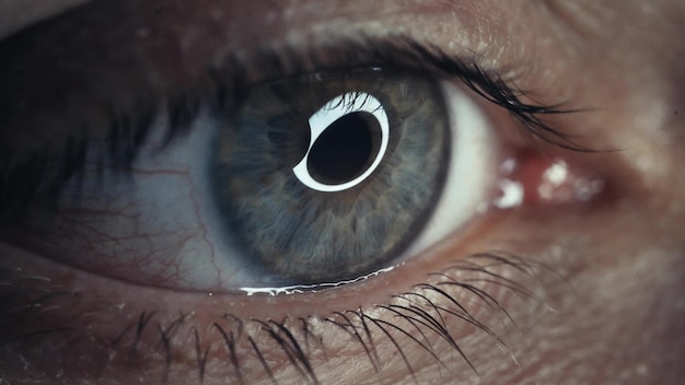 Primo piano dell'occhio verde con capillari Il concetto di oftalmologia e medicina Occhio macro estremo Grande pupilla Viste in direzioni diverse