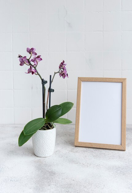 Primo piano dell'orchidea phalaenopsis viola in vaso e derisione della cornice del poster sul tavolo