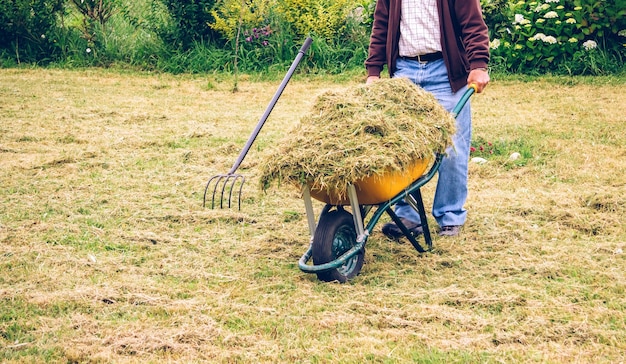 Primo piano dell'uomo anziano che porta carriola con fieno secco su un campo