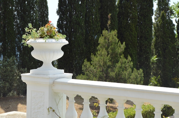 Primo piano della balaustra con vaso di fiori nel parco sullo sfondo di alberi