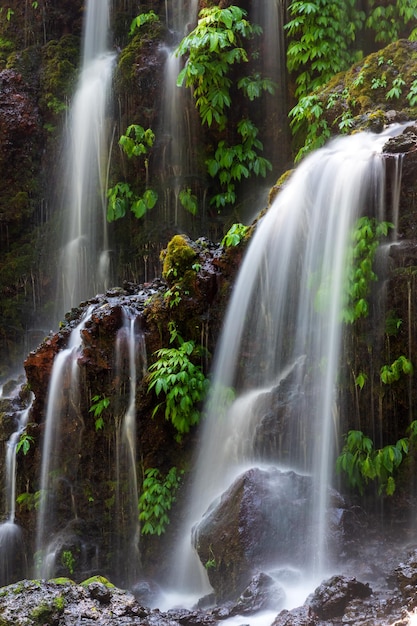 Primo piano della bellissima Banyu Wana Amertha si trova a Wanagiri Buleleng Bali