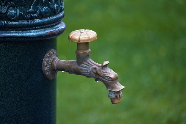 Primo piano della colonna antiquata con acqua potabile in parco pubblico