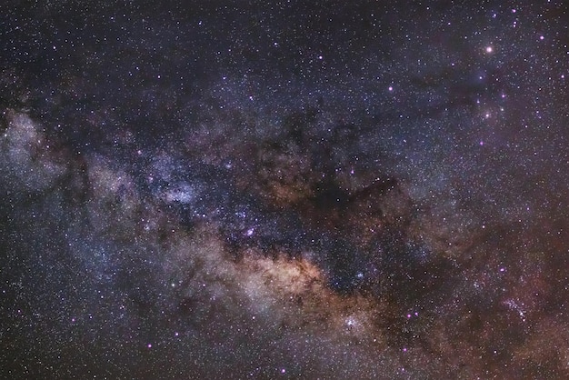 Primo piano della fotografia di esposizione lunga della Via Lattea con grano