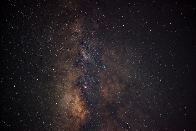 Primo piano della fotografia di esposizione lunga della Via Lattea con grano