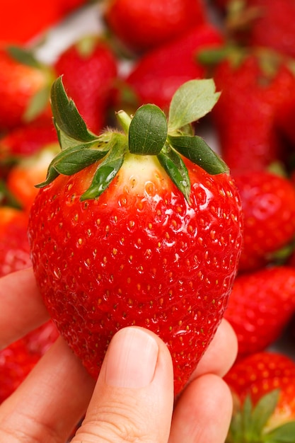 Primo piano della fragola catturata da una mano