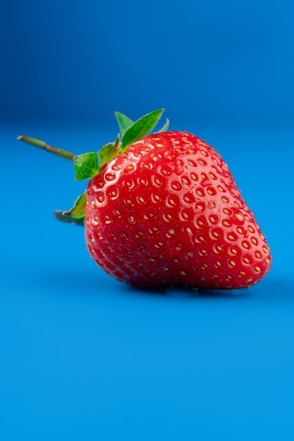 Primo piano della fragola in mani sulla parete blu