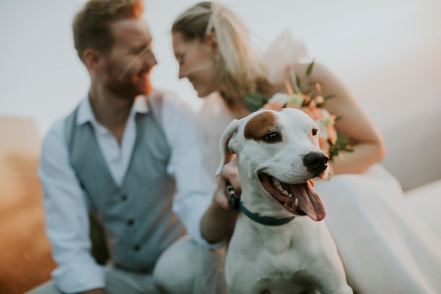 Primo piano della giovane coppia di sposini carini con il loro cane Jack Russel Terrier