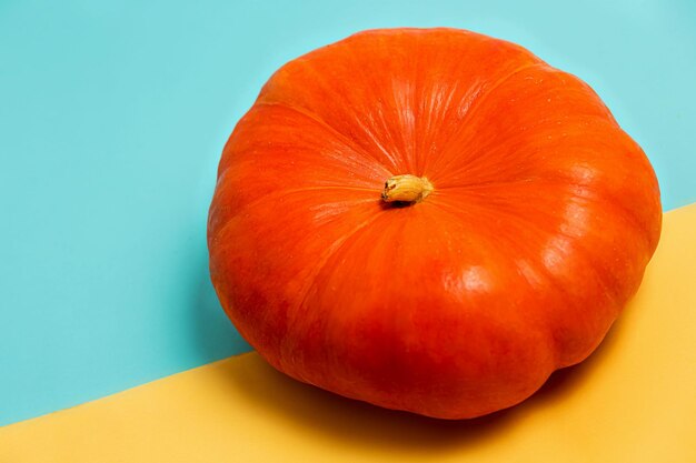 Primo piano della grande zucca arancione su sfondo colorato