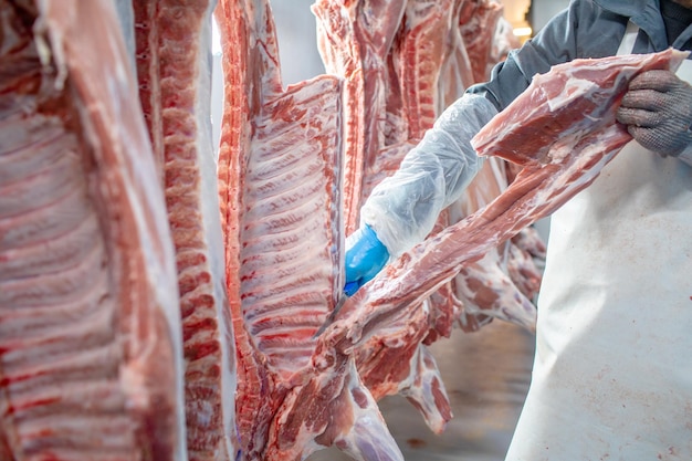 primo piano della lavorazione della carne nell'industria alimentare il lavoratore taglia lo stoccaggio di maiale crudo in frigorifero