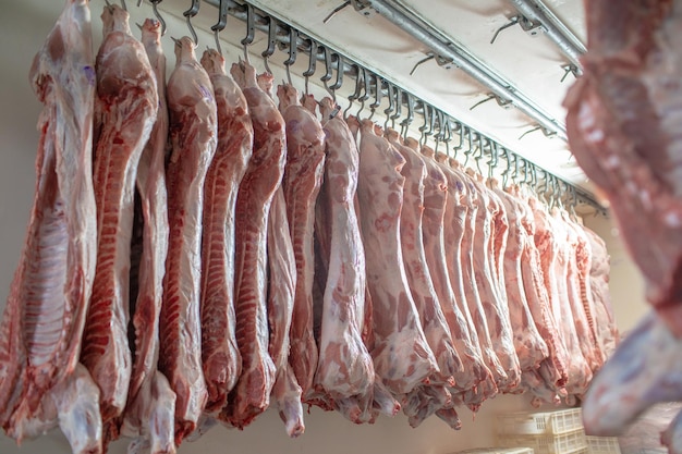 primo piano della lavorazione della carne nell'industria alimentare il lavoratore taglia lo stoccaggio di maiale crudo in frigorifero