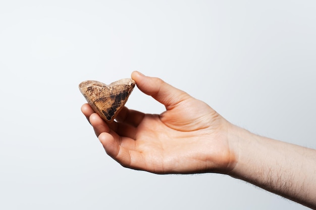 Primo piano della mano maschile che tiene un oggetto in legno a forma di cuore su bianco