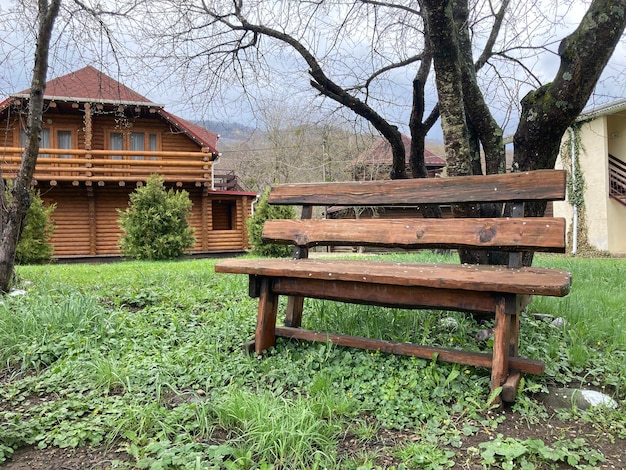 Primo piano della panca in legno vicino all'albero in campagna Pew in legno sul prato per attività ricreative all'aperto