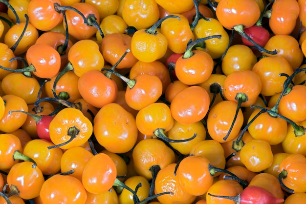 Primo piano della pila gialla del peperoncino rosso della lanterna