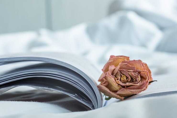 Primo piano della rosa appassita di rosa sul libro aperto nella stanza bianca