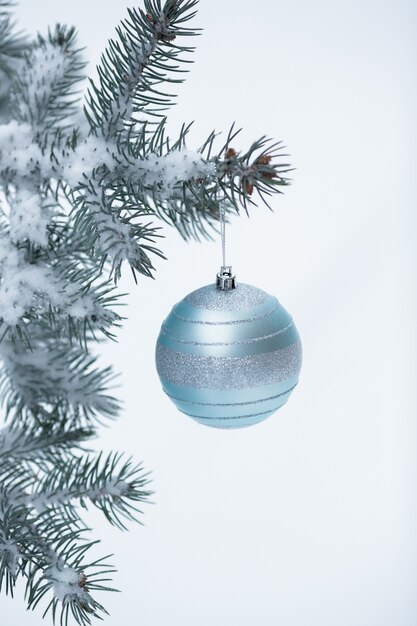 Primo piano della sfera di natale con la filiale del pino con neve