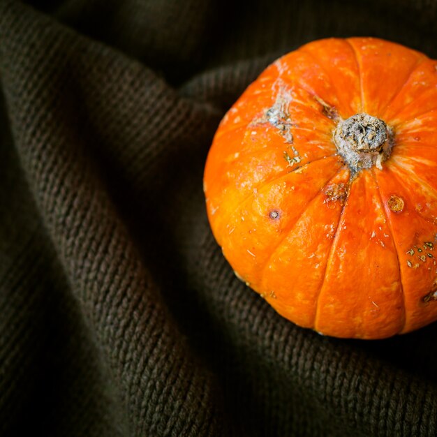 Primo piano della zucca arancione matura sulla maglia