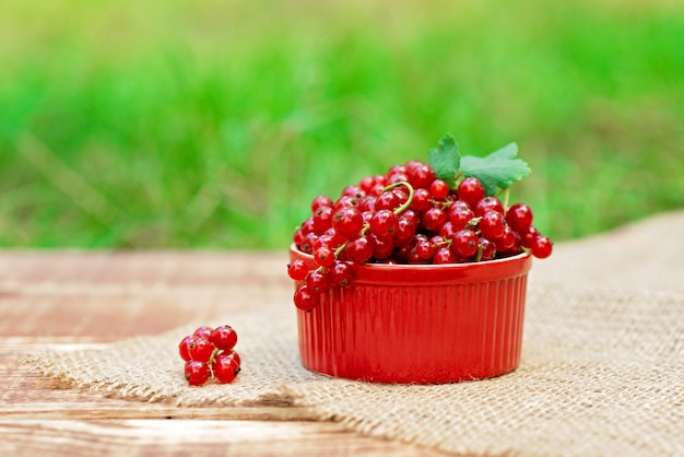 Primo piano delle bacche fresche del ribes