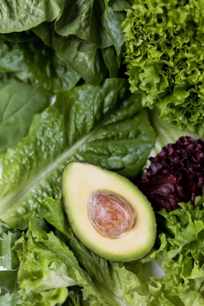 Primo piano delle foglie della lattuga e dell'avocado