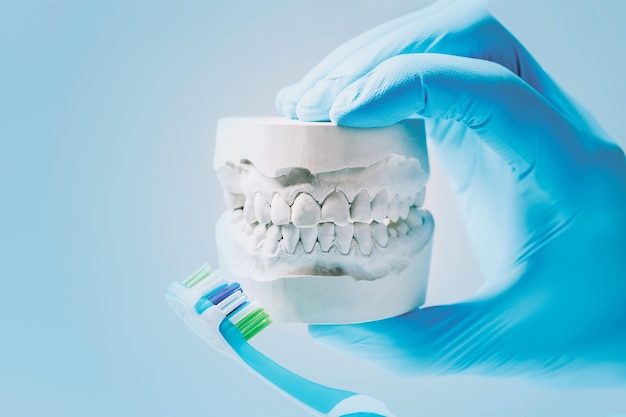 Primo piano delle mani del dentista e dell'attrezzatura dentale