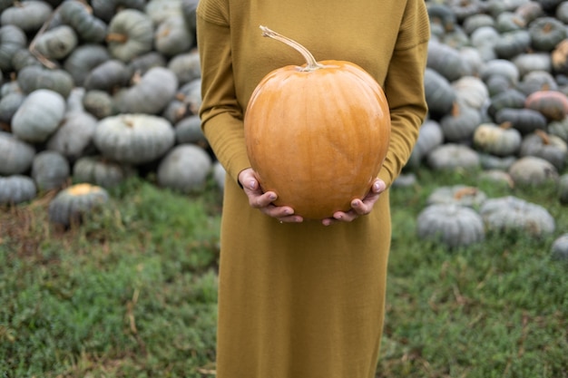 Primo piano delle mani delle donne che tengono la zucca arancione in natura halloween o concetto di ringraziamento