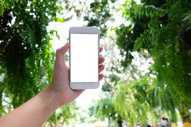 Primo piano delle mani delle donne in possesso di cellula telefono vuoto spazio copia dello schermo. telefono astuto con concetto di tecnologia