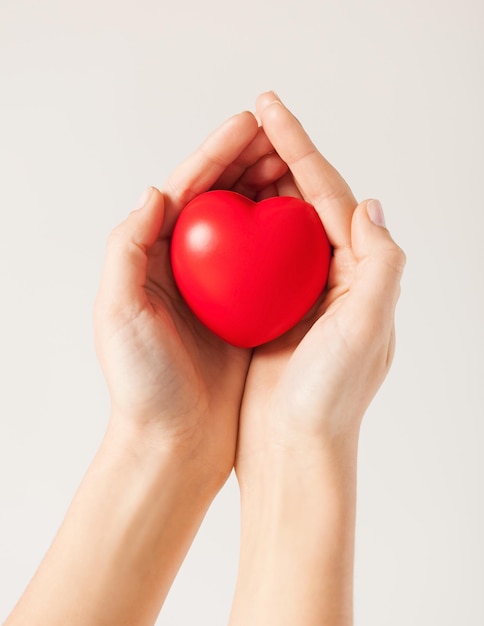 primo piano delle mani di donna con cuore