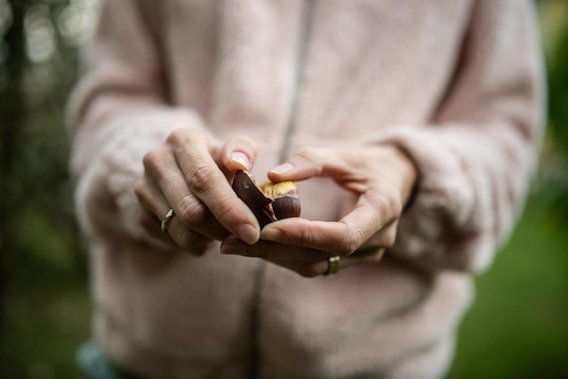 Primo piano delle mani femminili che sbucciano una castagna