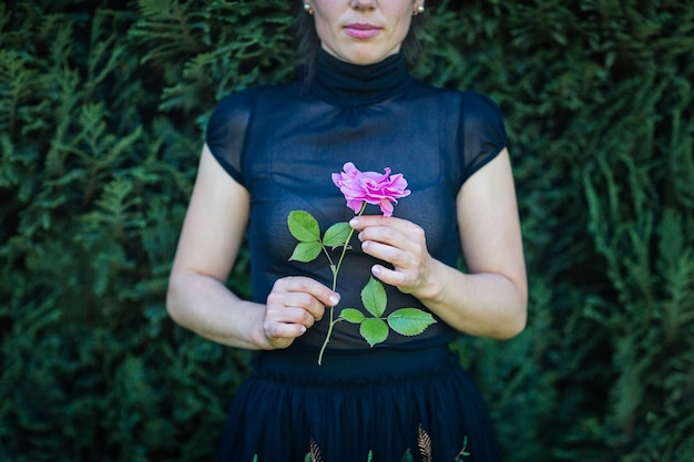 Primo piano delle mani femminili che tengono un fiore di rosa