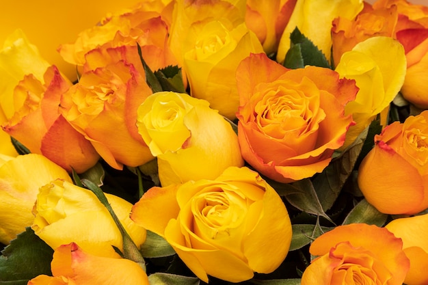 Primo piano delle rose arancioni. sfondo floreale. mazzo di fiori. Foto di alta qualità