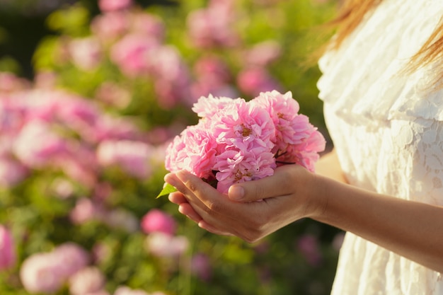 Primo piano delle rose della tenuta della donna. Stagione estiva.