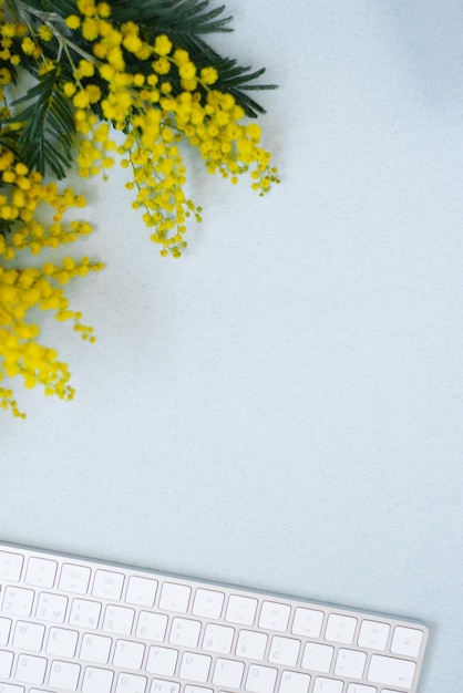 Primo piano desktop da donna di una tastiera portatile e rami gialli di fiori di mimosa Posa piatta