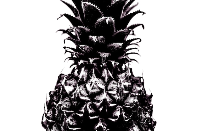 Primo Piano Di Ananas. Bianco e nero