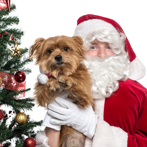 Primo piano di Babbo Natale che tiene un cagnolino isolato su bianco