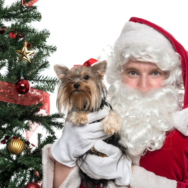 Primo piano di Babbo Natale che tiene un cagnolino isolato su bianco