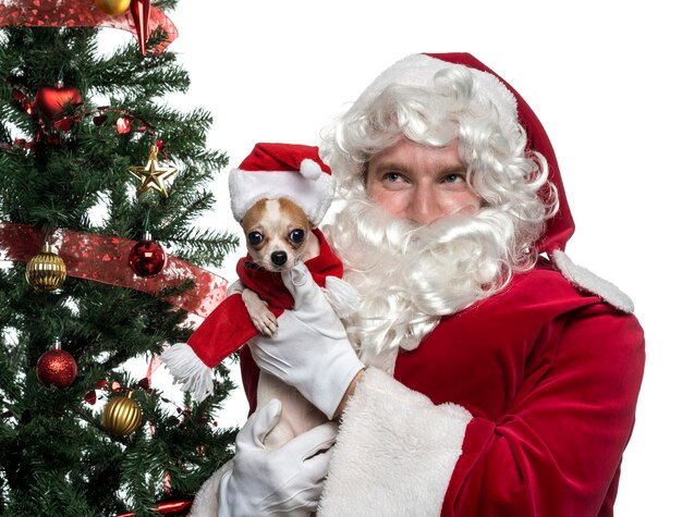 Primo piano di Babbo Natale che tiene un cagnolino isolato su bianco