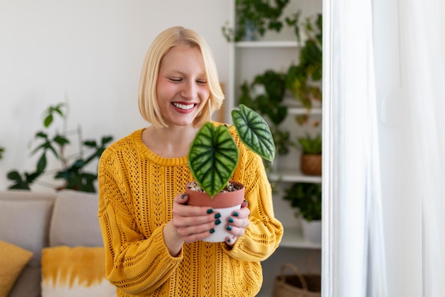 Primo piano di bella donna che tiene pianta verde e guarda con un sorriso soddisfatto, tenendo alocasia, ama il giardinaggio e la natura. tiro al coperto