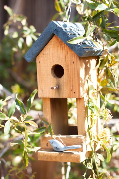 Primo piano di casa di uccelli in giardino