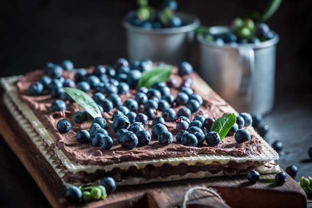 Primo piano di cialde fatte di frutti di bosco freschi e cioccolato