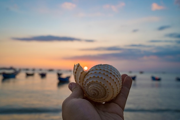 Primo piano di conchiglie sulla spiaggia tropicale Conchiglie sulla spiaggia con tramonto e barca