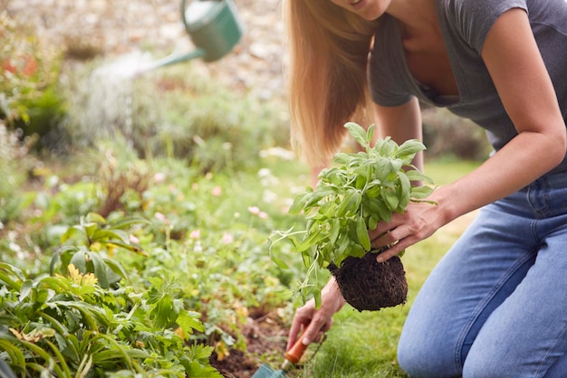 Primo piano di coppia che lavora all'aperto in giardino a casa a scavare e piantare