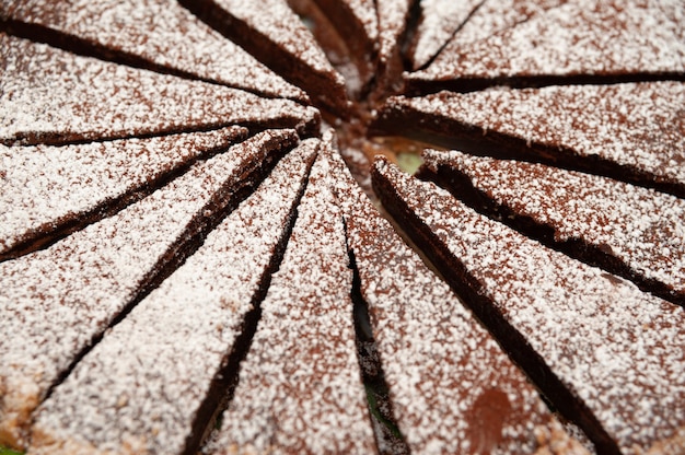 Primo piano di deliziosa torta al cioccolato fatta in casa con zucchero a velo