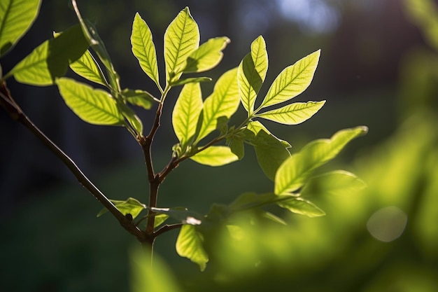 Primo piano di foglie di albero germoglianti con luce solare che filtra attraverso creato con ai generativo