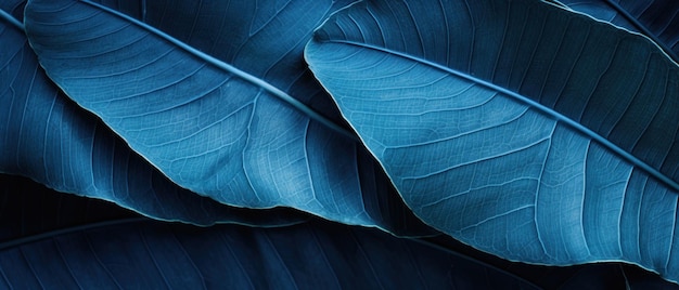Primo piano di foglie tropicali color blu che mostrano le loro texture dettagliate e la vibrante bellezza AI Generative