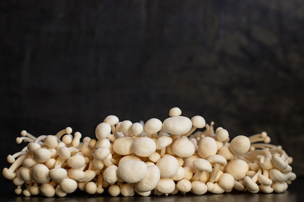 Primo piano di funghi Enoki giapponesi con copia spazio